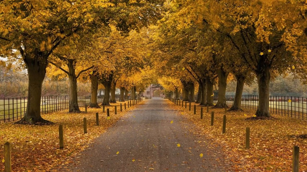 https://img1.wsimg.com/isteam/ip/cf0b358f-5e0b-4376-b252-ca572782692c/thumbnails/thumbnail-02b9ac25-2aea-4871-91fb-c3d0769a4cb9.png
