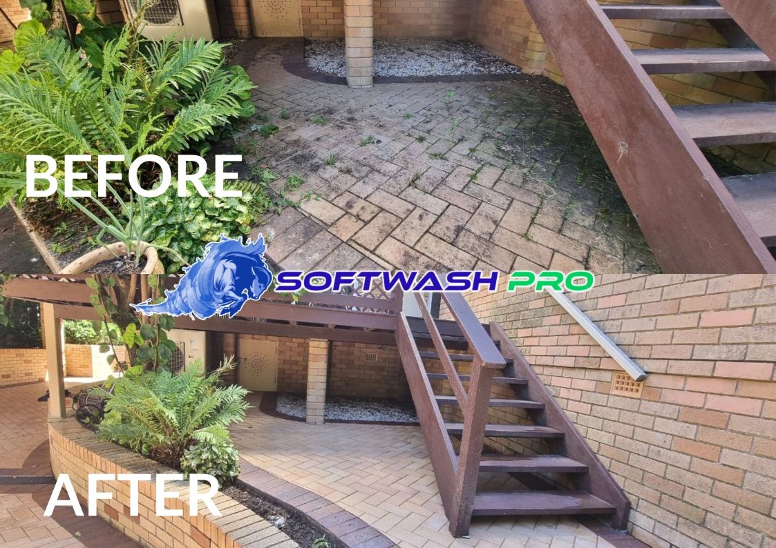 algae removed by Softwash Pro's brick cleaning