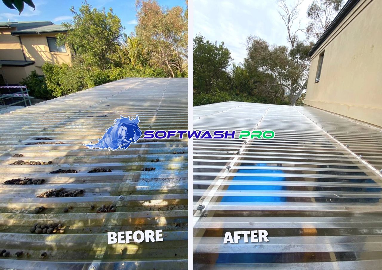 Awnings before and after photo after a softwash