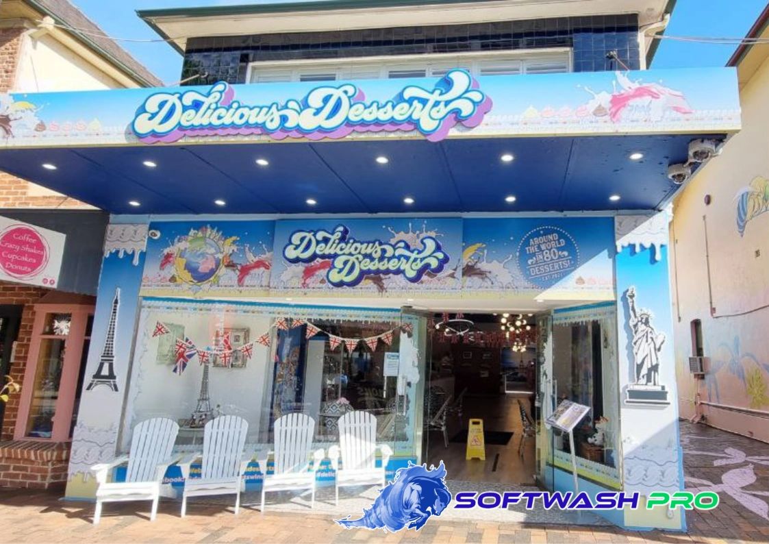 Facade and Window Cleaning - Softwash Pro