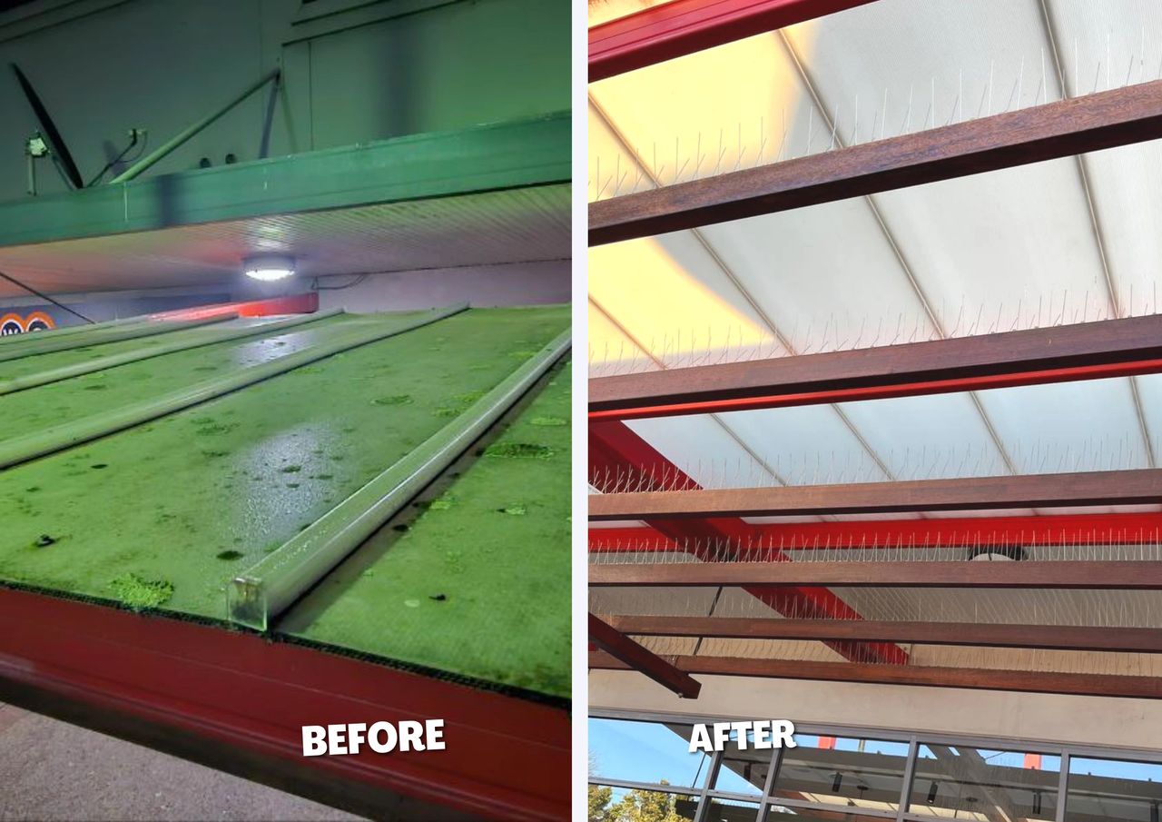 Awnings Cleaning - Softwash Pro