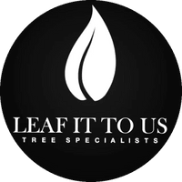 Leaf it to Us
