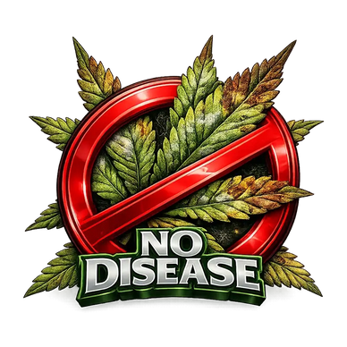 Exotic THC Clones, High THC Clones, Exotic High THC Cannabis Clones, Big Dog Exotic Genetics