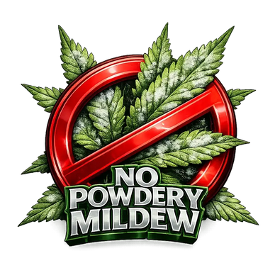 High THC Clones, Exotic Cannabis Clones, Cannabis Clones, Big Dog Exotic Genetics