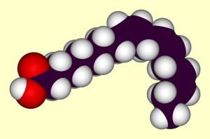 ALA Alpha Linolenic Acid Omega 3 Essential Oil