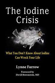 The Iodine Crisis by Lynnn Farrow