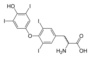 Thyroxine Thyroid Hormone Chemical Structure