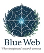 BlueWeb Consulting