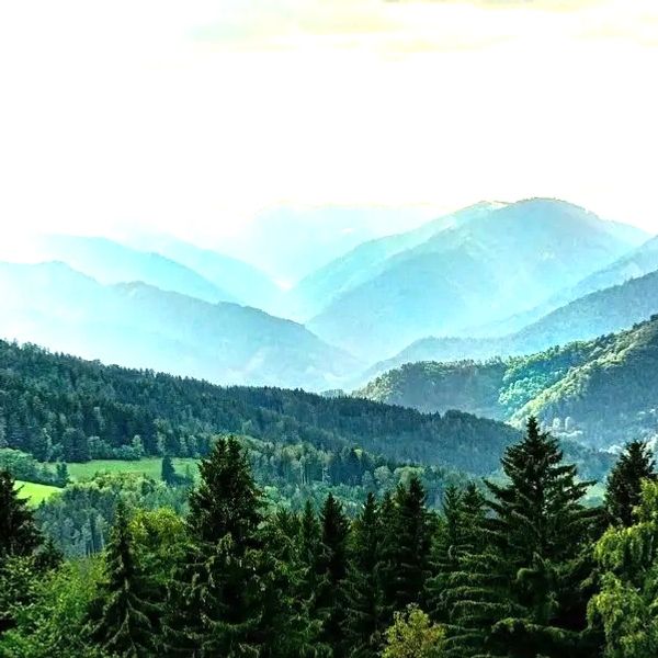 Landscape of lush green forested hills