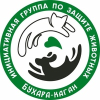 Island of Kindness

Островок Добра