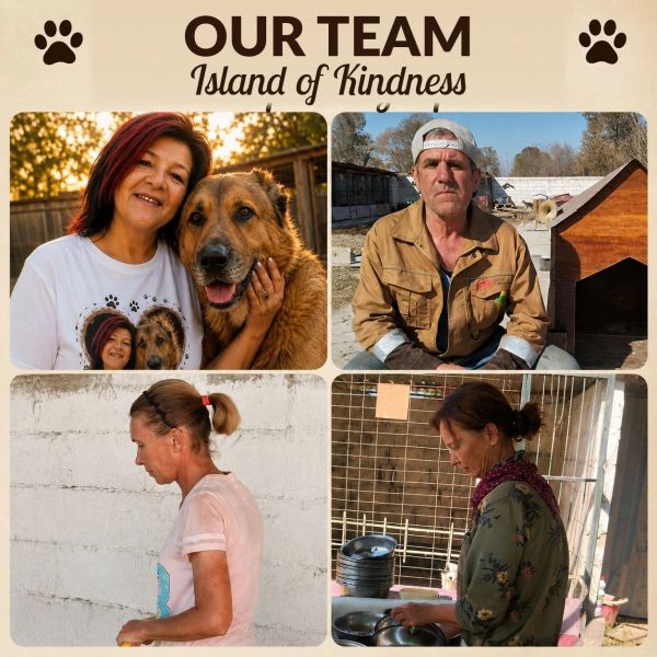 Four team members with a dog at Island of Kindness.