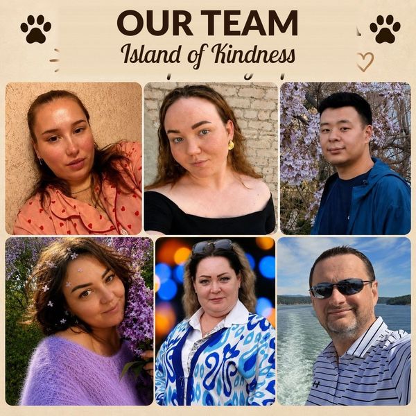 Team photo titled 'Island of Kindness' with six diverse individuals.