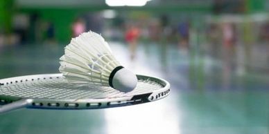 Elite Badminton Center (EBC) - Badminton Training Center and Indoor Badminton  Court Playing Facility - Union City, California