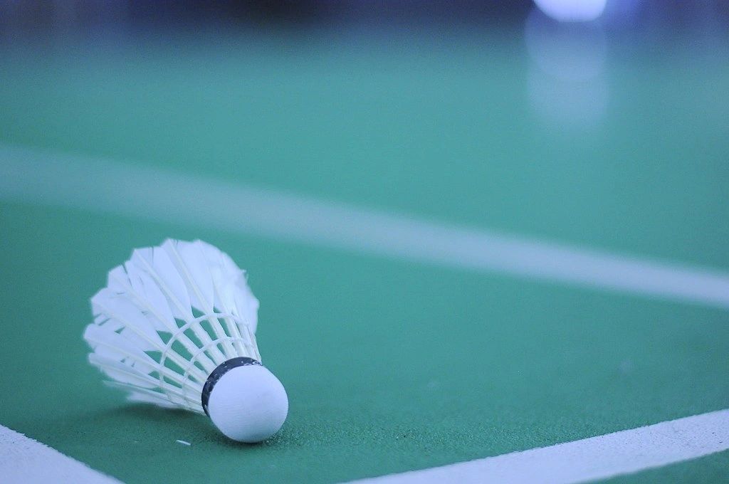 A white shuttlecock rests on a green badminton court near the boundary lines.