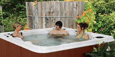   The Performance Spas