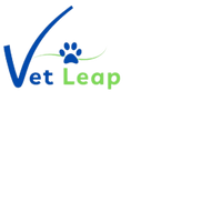 VetLeap Consulting
