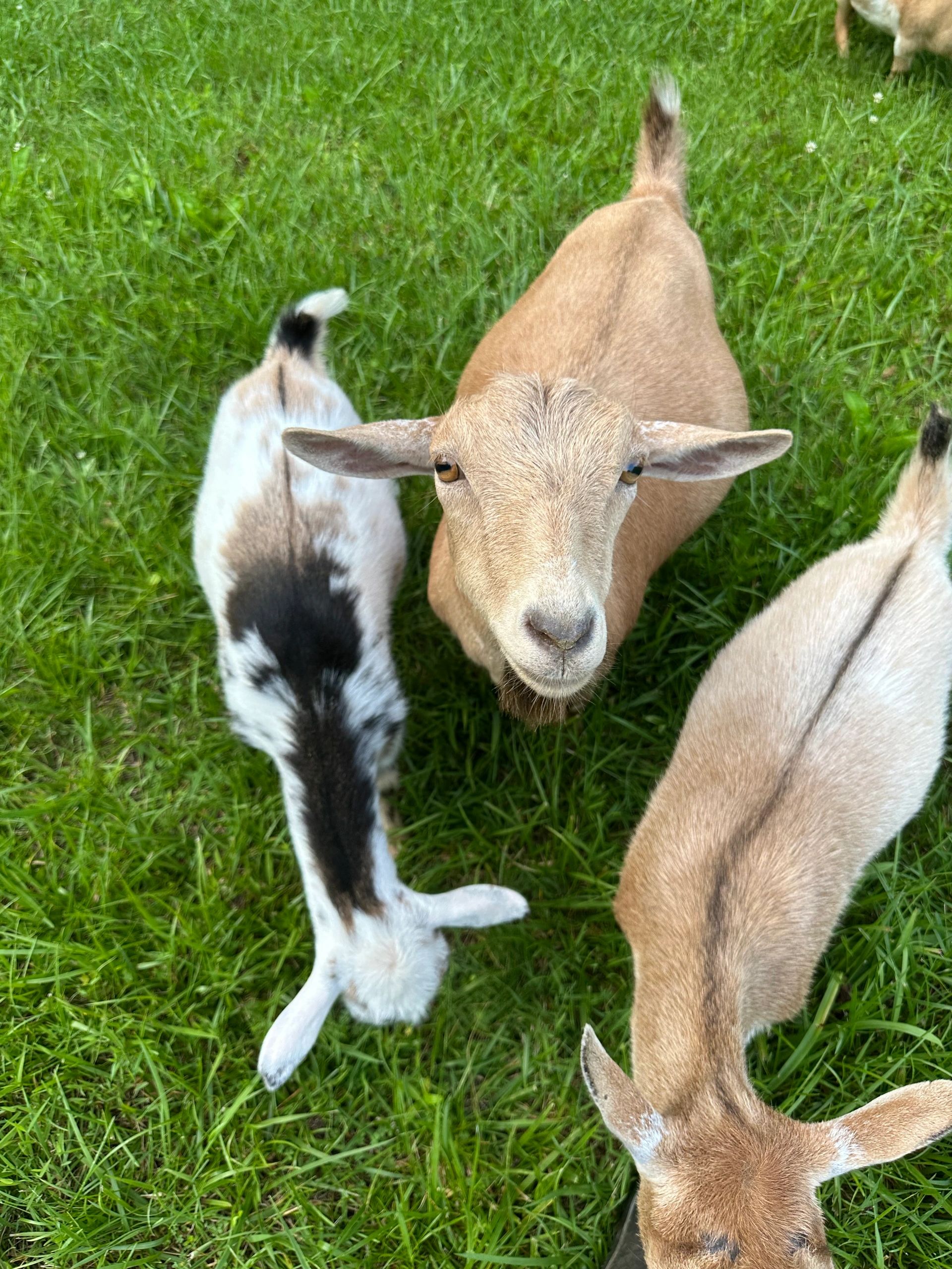 23 Acre Farm