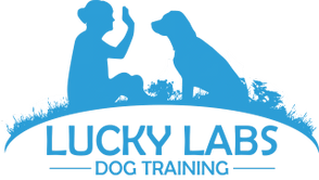 Lucky Labs Dog Training 