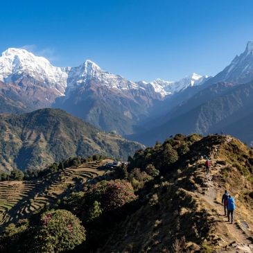 Hikers walking on a mountain trail with snow-capped peaks in the background.