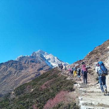 Group hiking on a mountain trail under clear blue sky.