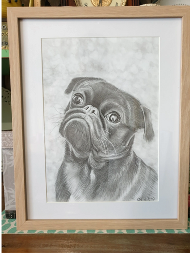 It's a Pug's Life
Graphite on Paper
A4