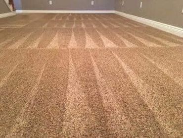 Professional carpet cleaning 