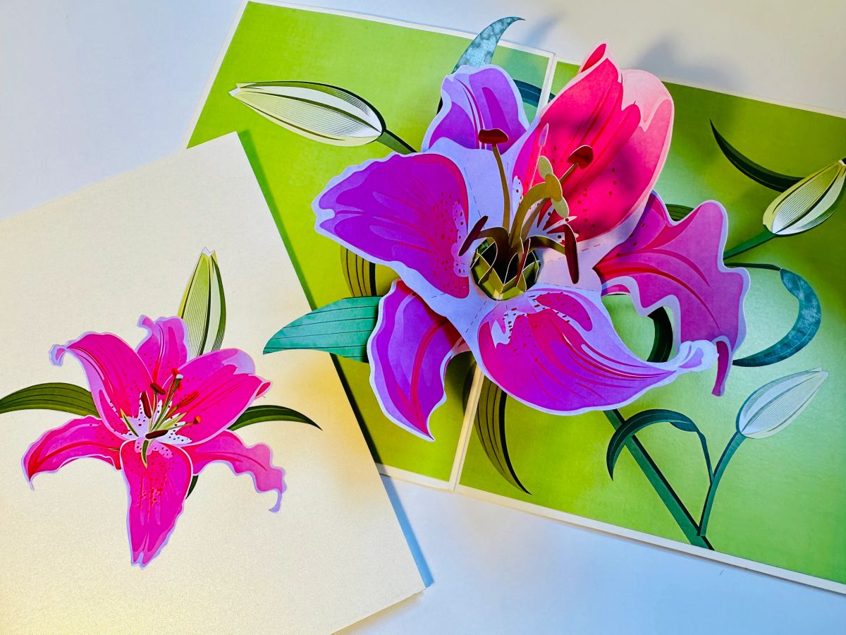 A Giant Hot Pink Lily Pop Up Greeting Card - Just Perfect for a Thank ...
