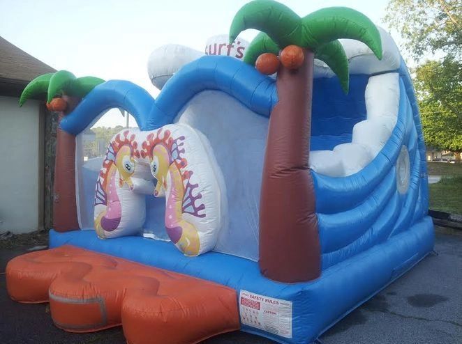 Misting Seahorse Bounce