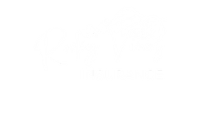 Rocky Vines