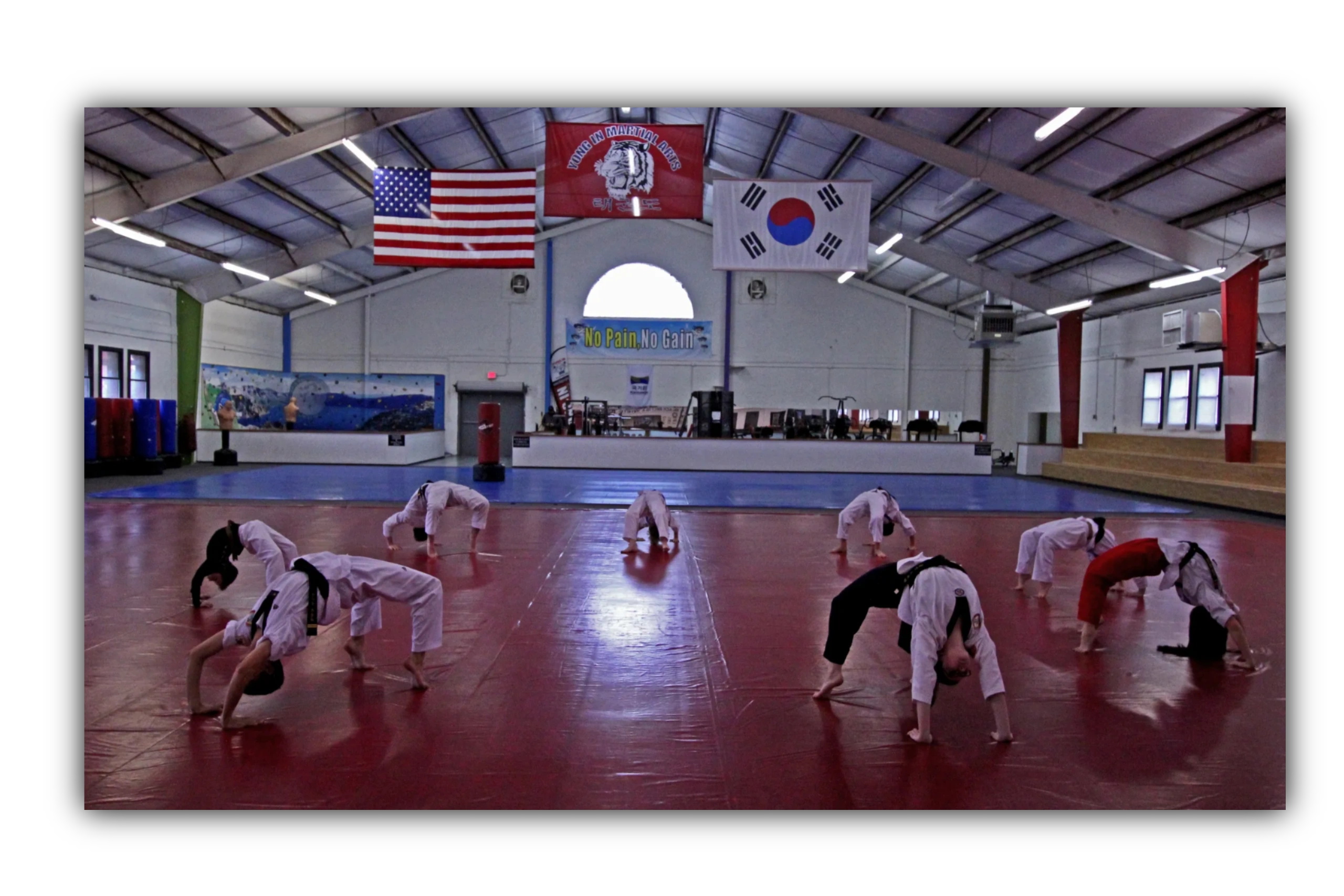Yong In Martial Arts Academy: Traditional Taekwondo