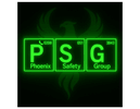 PHOENIX SAFETY GROUP LTD