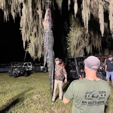 Man holding a large, suspended alligator at night.
