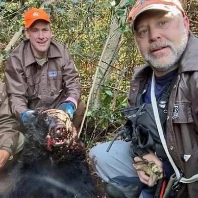 Two hunters posing with a hunted bear in the forest.