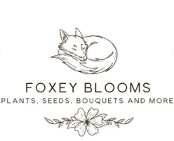 Foxey Blooms