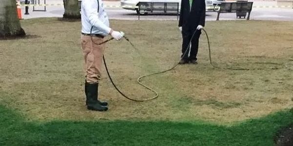 Man spraying dormant grass green.