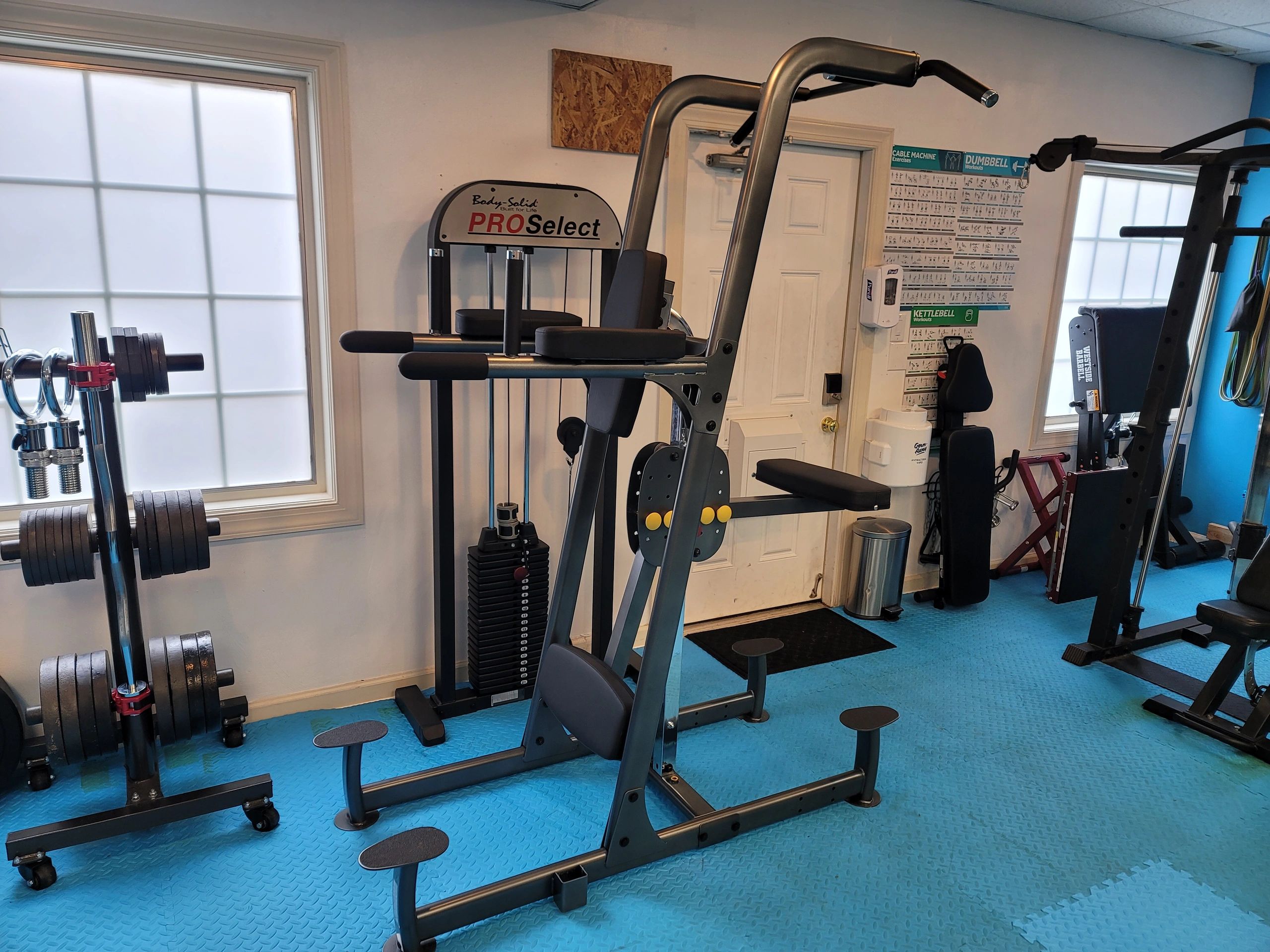 //img1.wsimg.com/isteam/ip/cf510db1-032b-4765-84d1-33d01ee637f4/Assisted_Pull_Up_and_Dip_Machine_with_200_LBs_.jpg/:/rs=w:1300,h:800