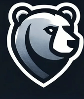 Bear Security Group PLLC