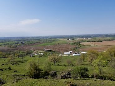 image146