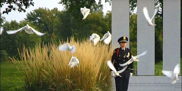 Military dove release.