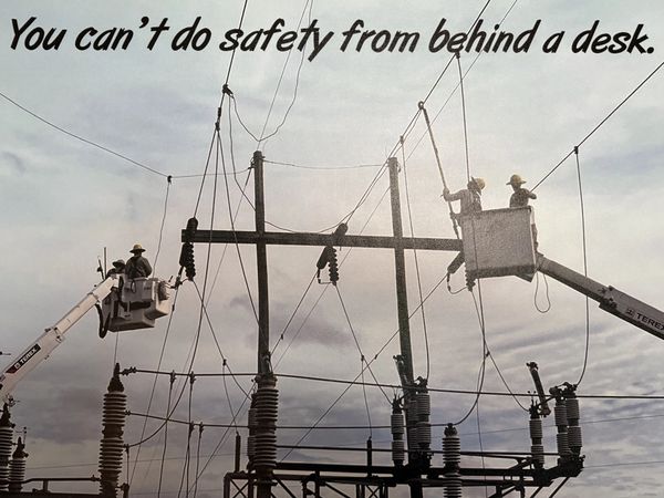 Workers ensuring safety on power lines.