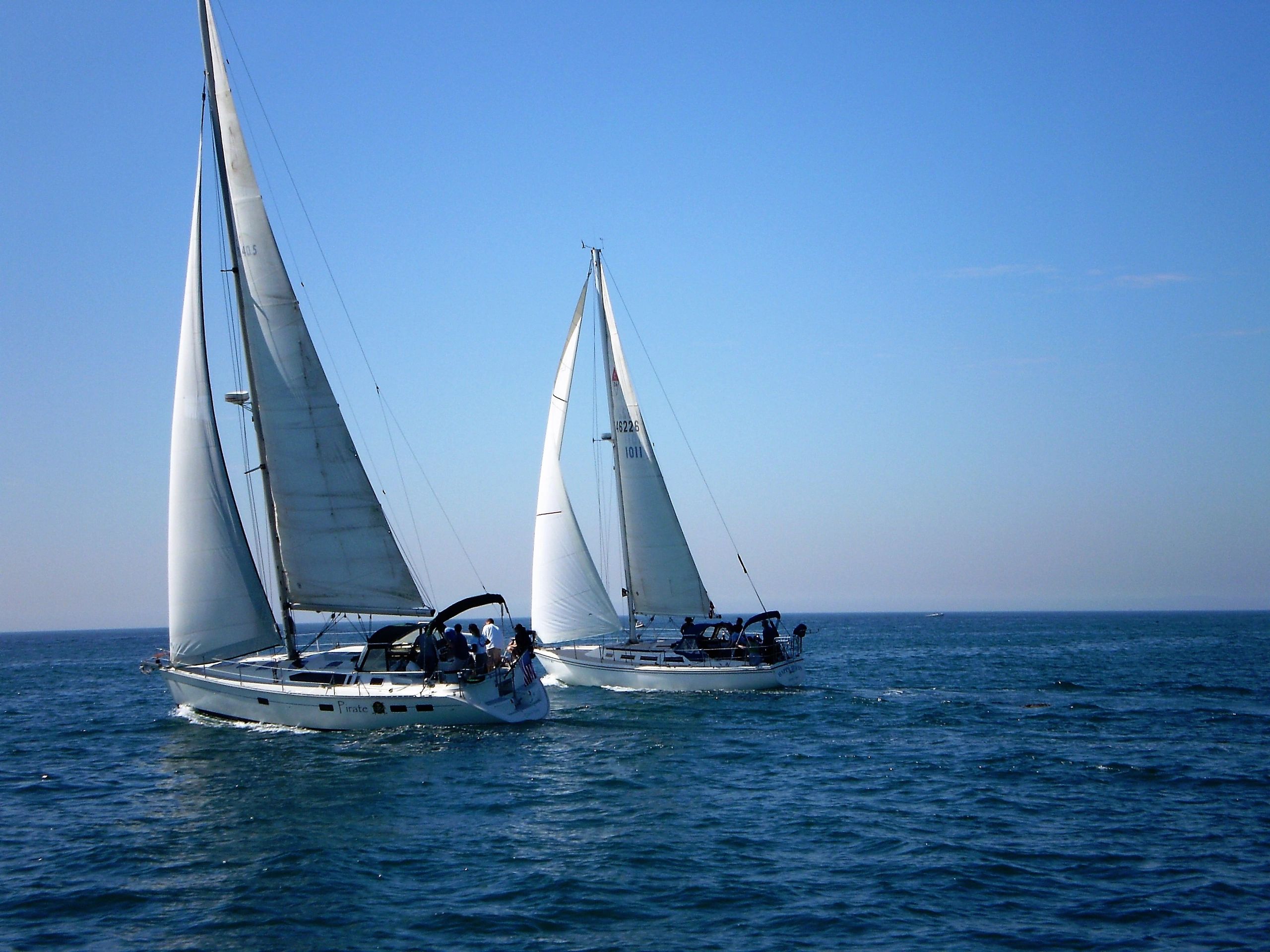 Waypoint Sailing corporate sailboat race off the Southern California coast.  