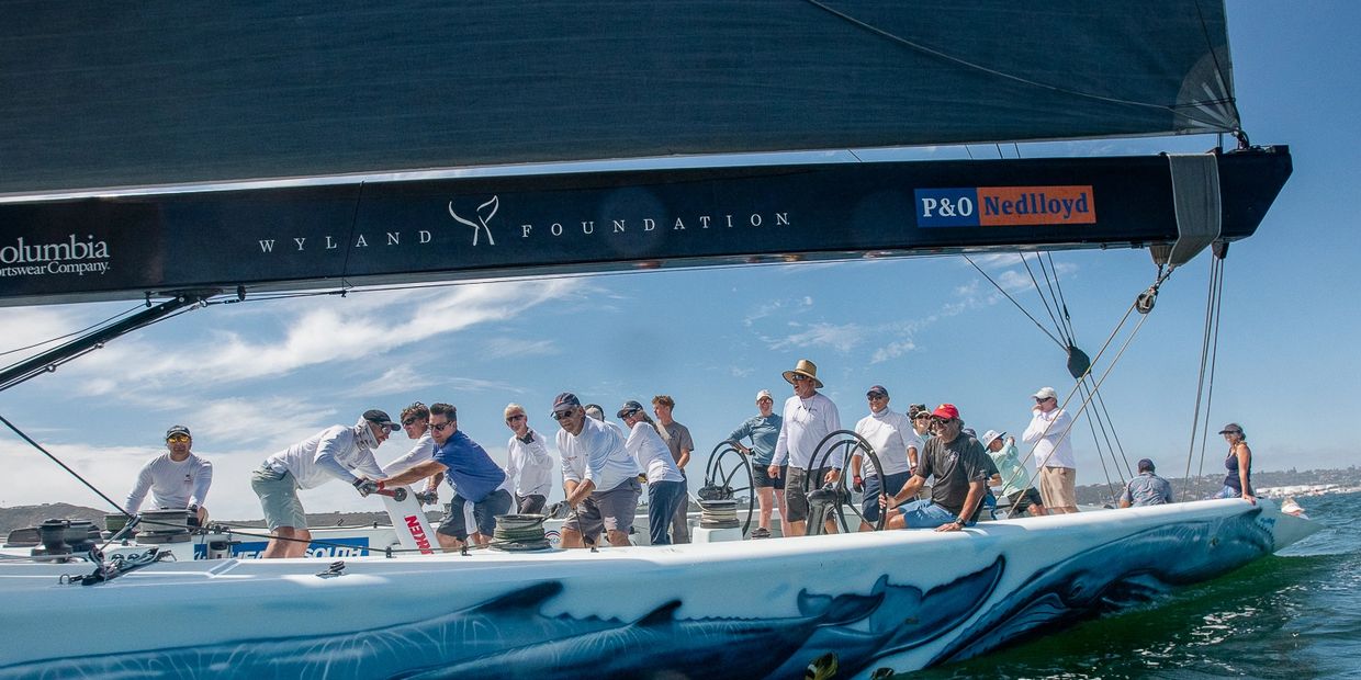 Crew working together on a sailboat with whale artwork on the hull.
