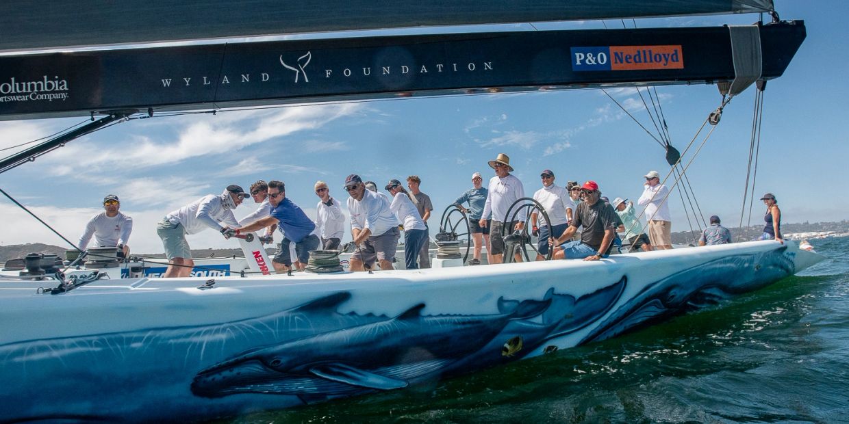 Crew working together on a sailboat with whale artwork on the hull.