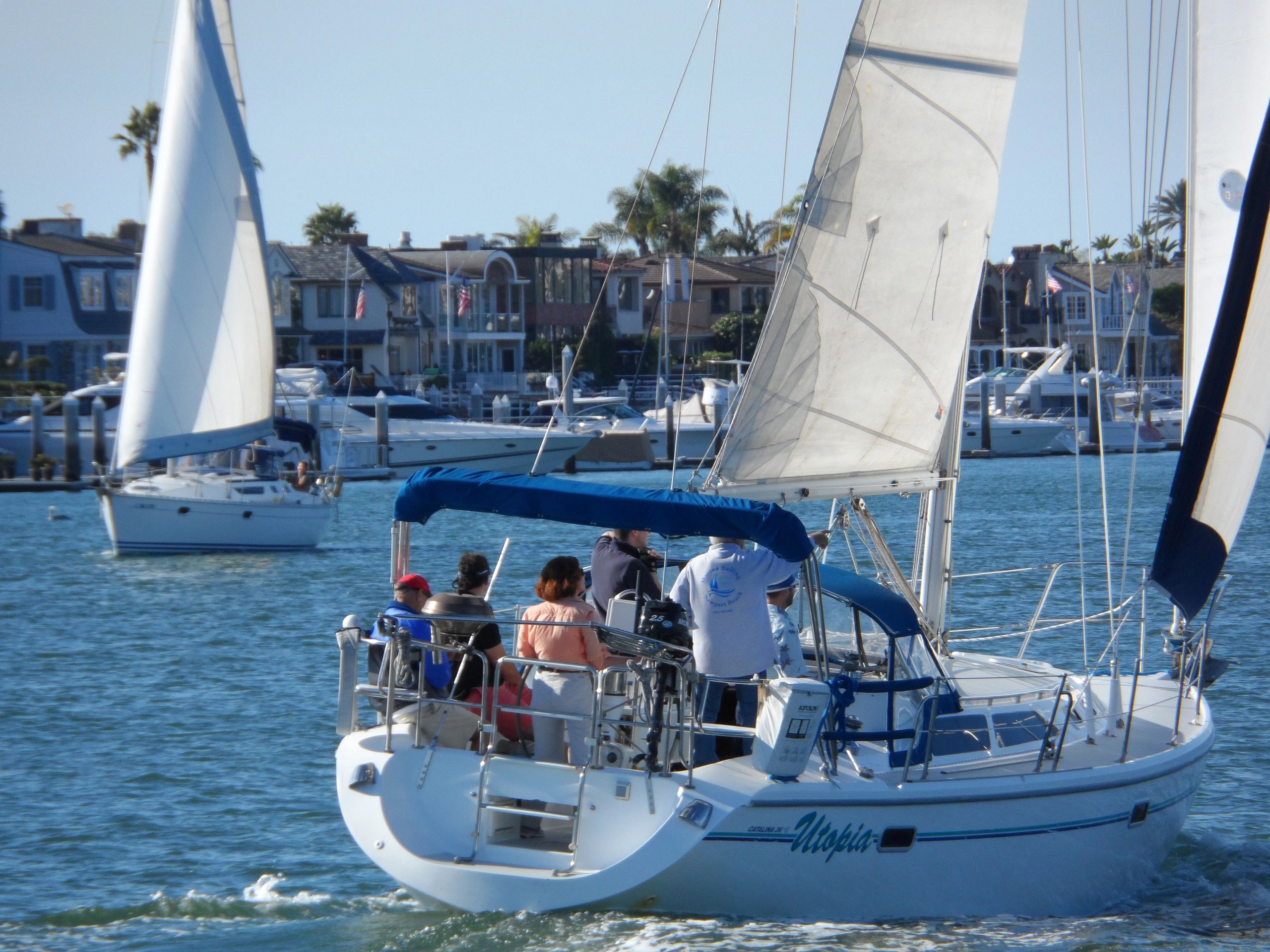 Waypoint Sailing team building sail in Newport Beach, CA.