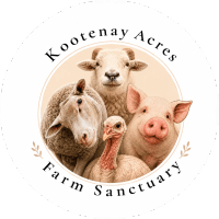 Kootenay Acres Farm Sanctuary