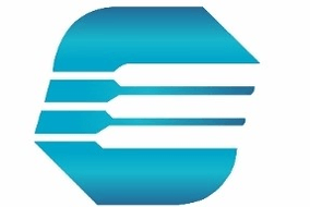 ELITE ELECTRICAL SOLUTIONS LTD.