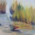 Plein Air Painting, Oil Painting, Water Grasses