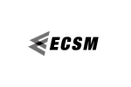 ECSM:  East Coast Sales & Marketing, LLC