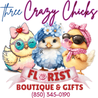 3 Crazy Chicks Florist, Boutique & Gifts