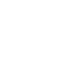 Styidle